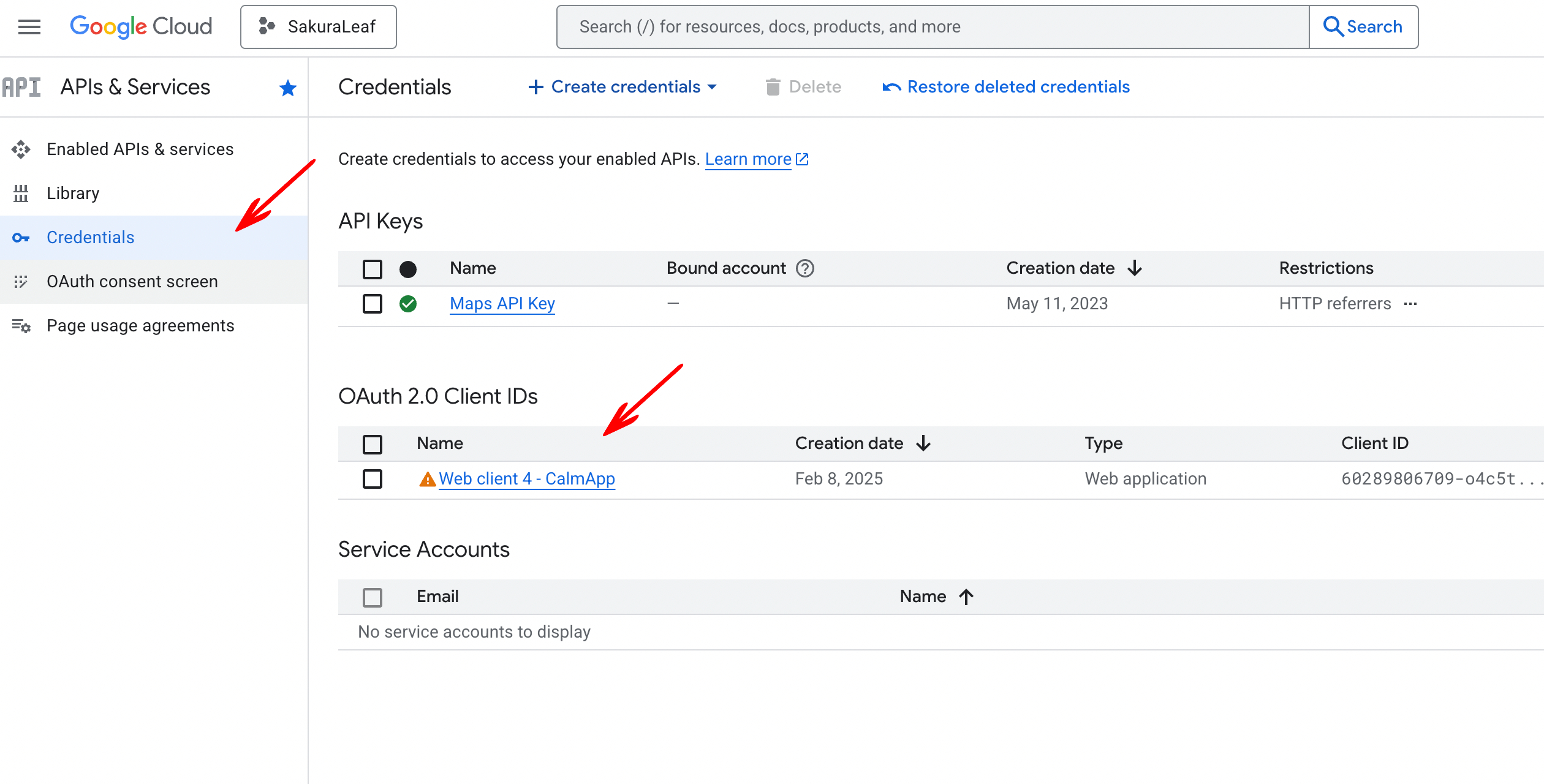 Google Cloud Console credentials